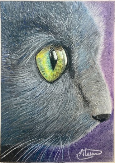 Primer plano de un ojo verde de gato, retrato realista en pastel seco por Dena Núñez