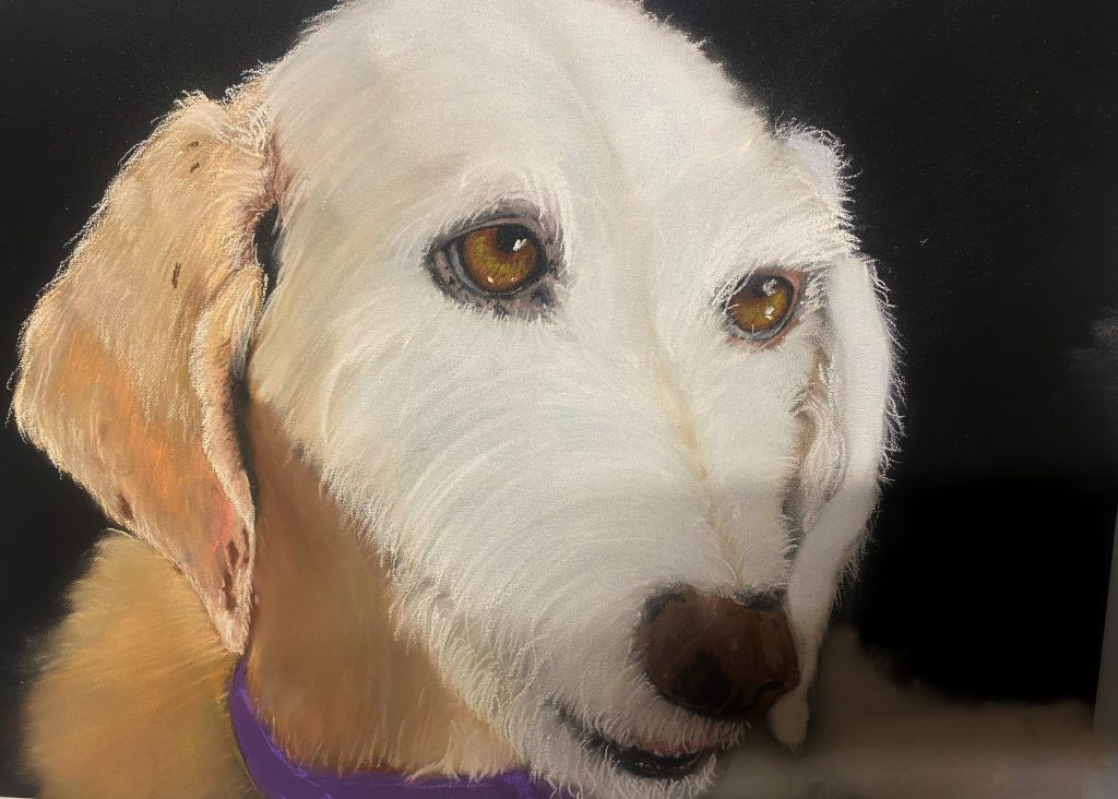 Retrato personalizado hecho a mano en pastel seco de un perro blanco con fondo oscuro, por Dena Núñez