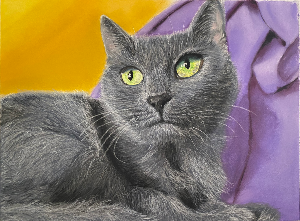 Retrato realista hecho a mano en pastel seco de un gato gris con fondo morado, por Dena Núñez