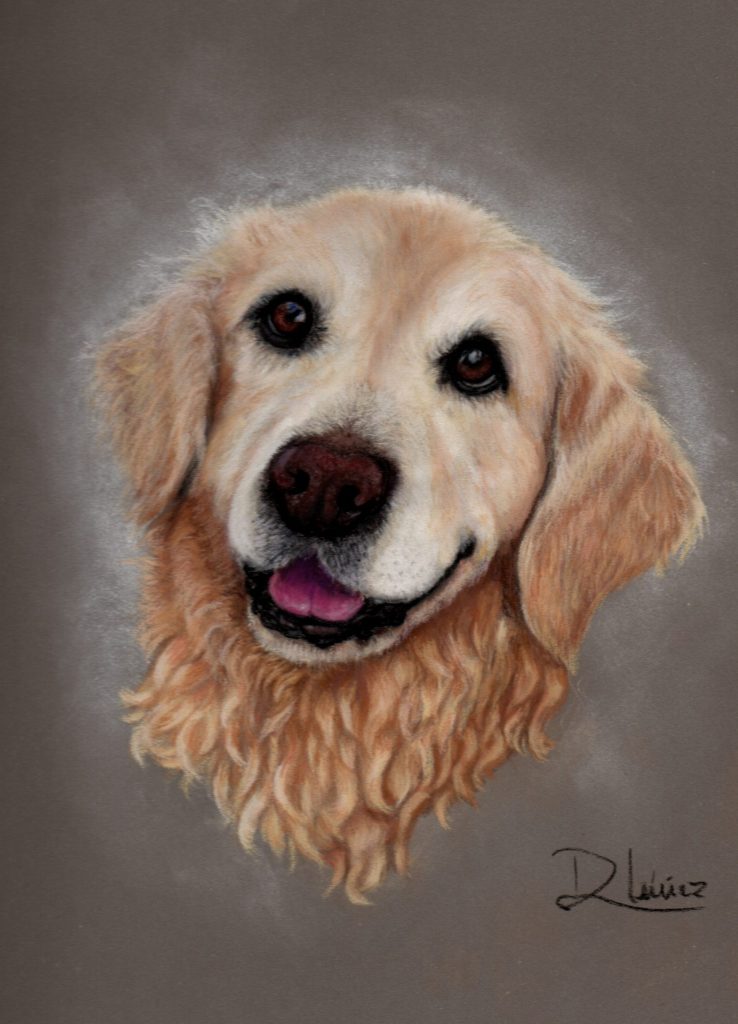 Retrato realista de golden retriever hecho a pastel por Dena Núñez, artista especializada en retratos de mascotas personalizados